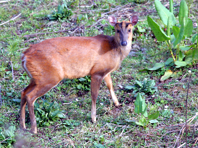 Nature & Wildlife