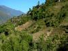 Nimshong Village