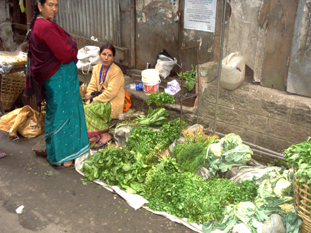 darjeeling picture gallery