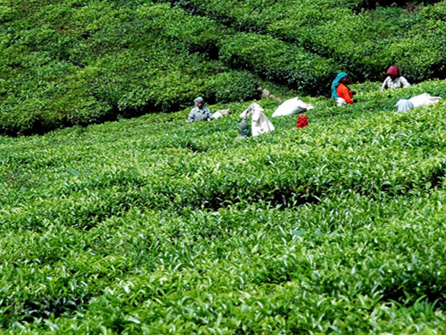 Kerala · » Tamil Nadu; » Karnataka; » Lakshadweep; » Andhra Pradesh