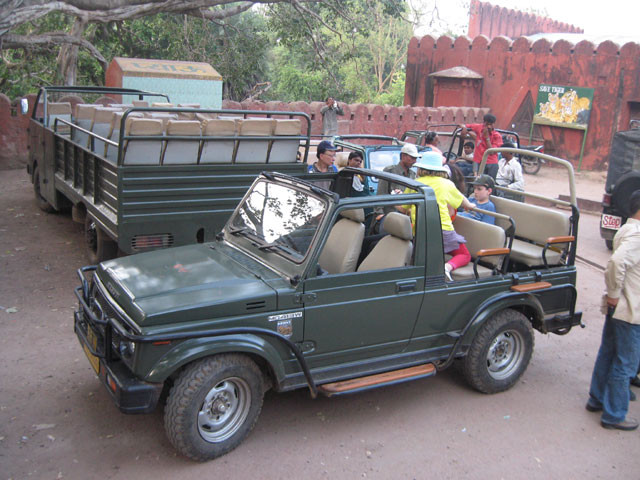 Jeep safari in ranthambore #5