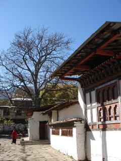 Kyichu Lhakhang 