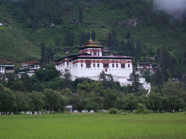 Rinphung Dzong with green fields in summer