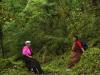 local_people_on_pilgrimage