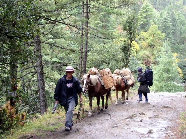Trek Toktu Zampa - Ngang Lhakhang