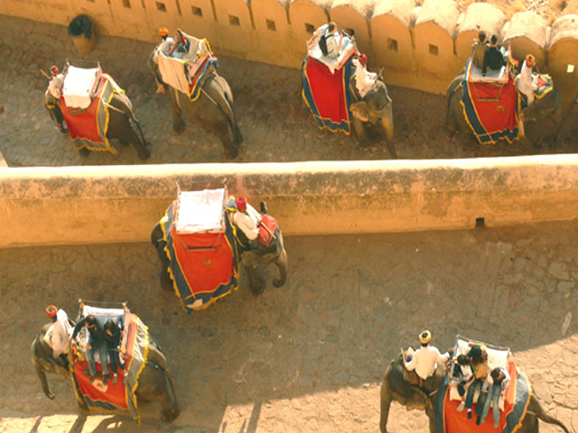 Elephant Ride At Amer Fort, Jaipur