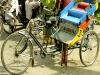 Rikshaw Ride At Chandni Chowk
