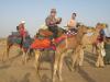Camel ride at sand dunes