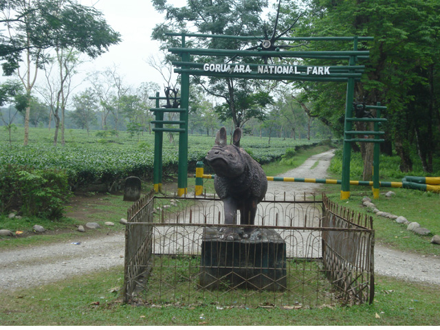 Gorumara National Park, Duars India Gorumara National Park, Duars India