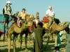 Camel Ride -Jaisalmer