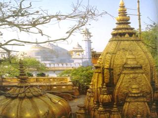 The Kashi Vishwanath Temple 