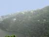Nainital