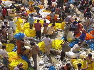 Flower Market 