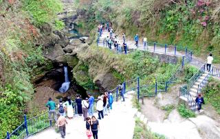 Davis Fall