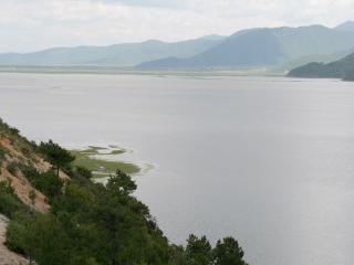 Napa Lake 