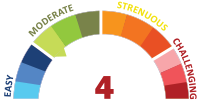 Moderate