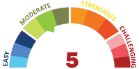 Moderate