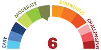 Moderate