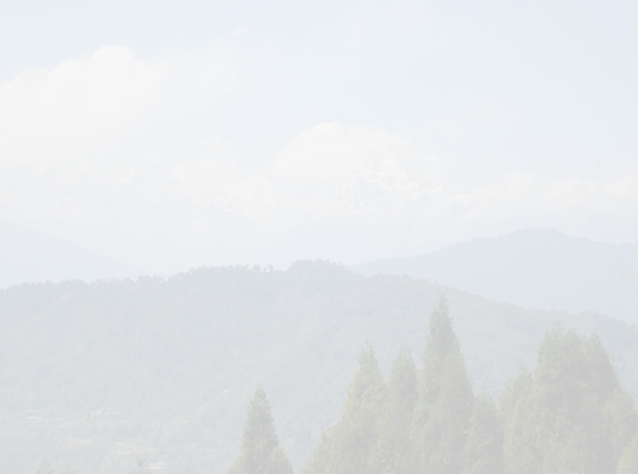 South India
