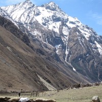 47506898530 Windhorse Tours
