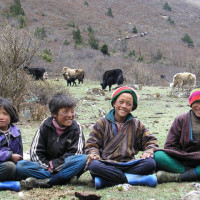 Laya16 Windhorse Tours