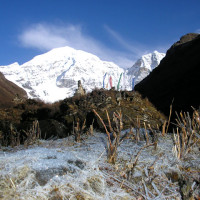 Laya18 Windhorse Tours