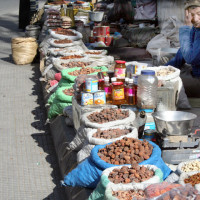 Leh10 Windhorse Tours