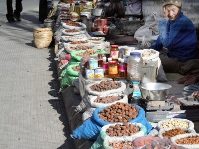 Leh10 Windhorse Tours