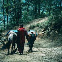 Monk in Taktsang Hike Windhorse Tours
