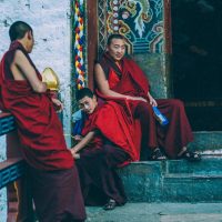 Monks in Rinpung Dzong Windhorse Tours