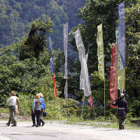 birding the road Windhorse Tours