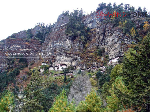 Paro