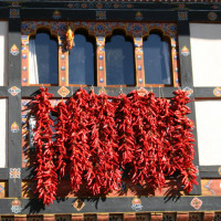 chilies Windhorse Tours