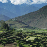 chimilhakhang riceterrace Windhorse Tours