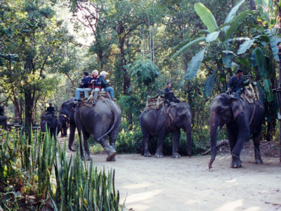 chitwan nationalpark Windhorse Tours