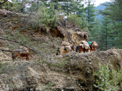 cultural trek1 Windhorse Tours