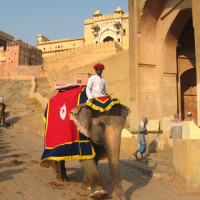 elephantride Windhorse Tours