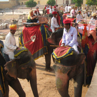 elephantride5 Windhorse Tours