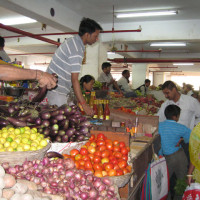 gangtok vegetable market11 Windhorse Tours