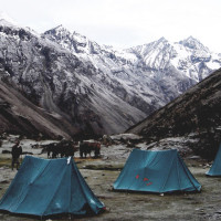 jumolhari base camp Windhorse Tours