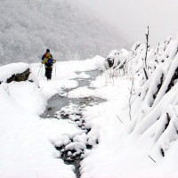 jumolhari trek3 Windhorse Tours