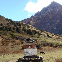 jumolhari trek5 Windhorse Tours