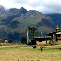 laya Windhorse Tours