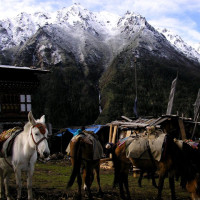 laya village2 Windhorse Tours