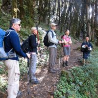 lenzujikha Hike Dochula Windhorse Tours