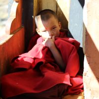 little monk Windhorse Tours