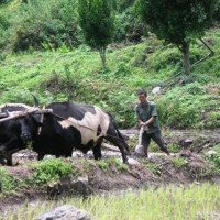 nabjifarmer Windhorse Tours