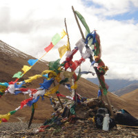 neyle lapas Windhorse Tours