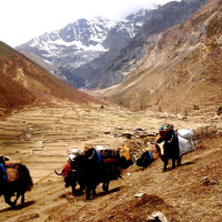 passing goyul village chebe Windhorse Tours