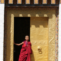 punakha dzong1 Windhorse Tours